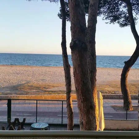 Playmar *